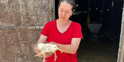 Adana'da 4 Ayaklı Civciv Görenleri Şaşırttı