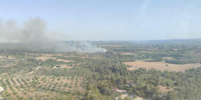Adana'da çıkan orman yangını kontrol altına alındı