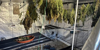 Yangın, uyuşturucu serasını ortaya çıkardı