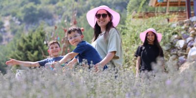 Kadınlar devlet desteğiyle atıl arazileri lavantalarla süsledi