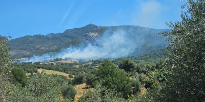 Adana'da orman yangını