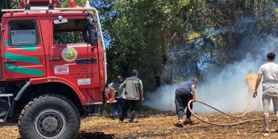 Adana'da orman yangını kontrol altına alındı