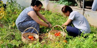 Adana'da ruh sağlığı tedavisi görenler tarımla terapi oluyor