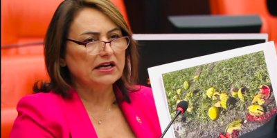 CHP Adana Milletvekili Dr. Müzeyyen Şevkin, soru ve araştırma önergesinden sonra mecliste çiftçi için yeni bir ses yükseltti
