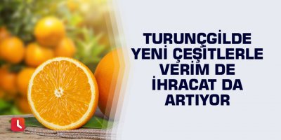 Turunçgilde yeni çeşitlerle verim de ihracat da artıyor