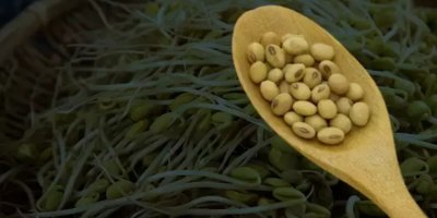 Adana'da yetişiyor, saatlerce tok tutuyor! İşte mucize besin