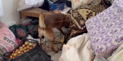 7 kilo esrar yakalatan şüpheli: "İçimlik alacaktık, uygun verince 4 arkadaş toplu aldık"