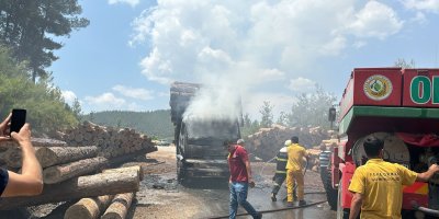 Seyir halindeki tomruk yüklü kamyon yandı