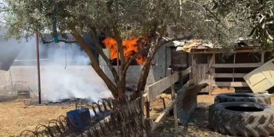 Samanlık yangını büyümeden söndürüldü