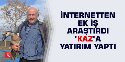 İnternetten ek iş araştırdı "kaz"a yatırım yaptı