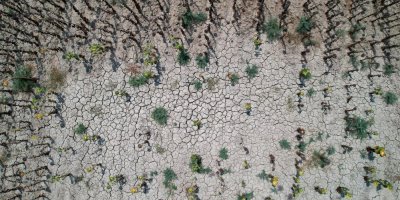 Adana ÇMO Başkanı Deniz Orhan: "İklim krizi önlenemezse Doğu Akdeniz çölleşecek"