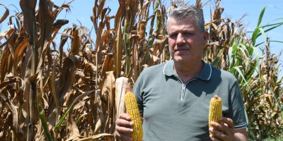 "Çiftçi ve üretime su darbesi"