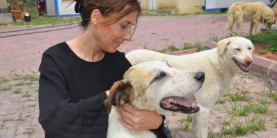 “Ölümden Çözüm Olmaz”