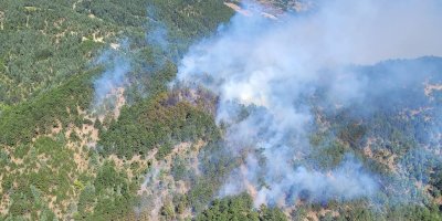 Adana'da orman yangını