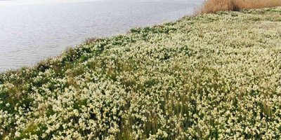 Adana'da vatandaşlar 5 yıl önce keşfetti hemen korumaya alındı! Gizli cennet herkesi büyülüyor