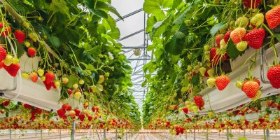 Karataş'ta Tarıma Dayalı İhtisas Organize Sanayi Bölgesi'nin altyapı yapım ihalesi gerçekleştiriliyor