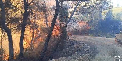 Adana’daki orman yangınında 10 ev tedbir amaçlı tahliye edildi