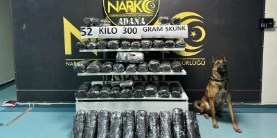 Dedektör köpeği 'Oscar' 52 kilo 300 gram skunk buldu