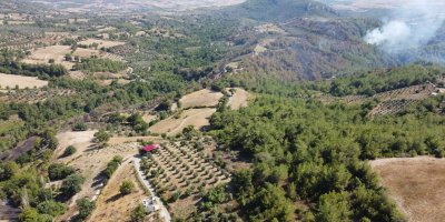 Kozan'daki orman yangını kontrol altına alındı