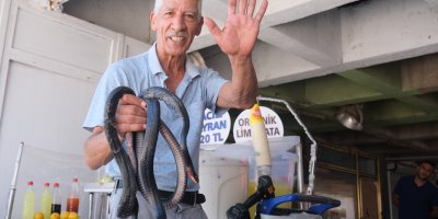 Koynunda beslediği yılanlar böyle ısırdı