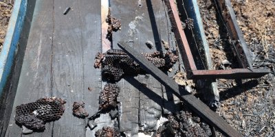 Orman yangınında 15 kovan arı telef oldu