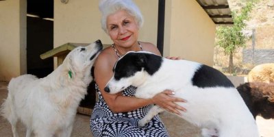 HAYKONFED Başkanı Çıtırık'tan "yasa" açıklaması