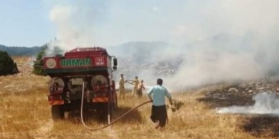 Anız yangını ormana sıçradı, ekipler müdahale ediyor