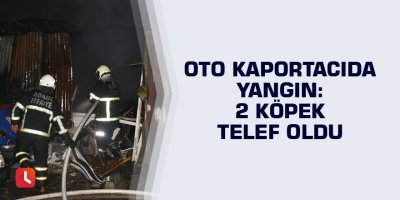 Oto kaportacıda yangın: 2 köpek telef oldu