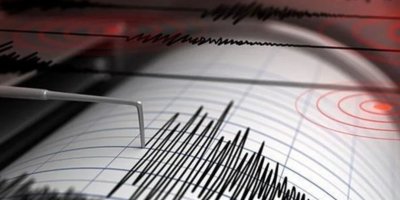 Adana sallandı, Naci Görür uyardı