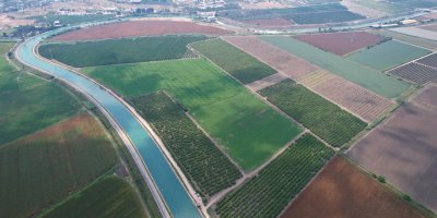 Adana çiftçisine 'su yok, ekim yapmayın' uyarısı