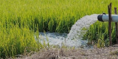 Adana’daki su krizi gıda fiyatlarını vuracak