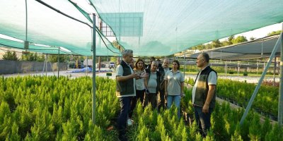 Adana’da orman varlığı yüzde 2.3 arttı