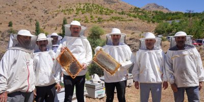 Adana’da bal hasadı başladı