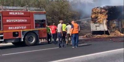 Son Dakika! Adana Mersin Otoyolu'nda tır alev aldı