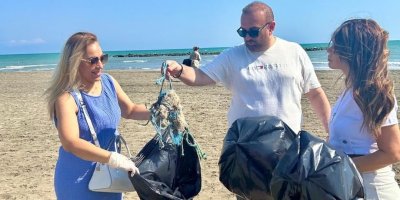 Caretta cerattalar için temizlik