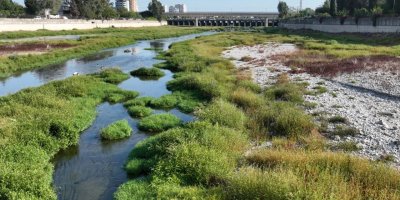 “Seyhan Nehri’nde İş Makineleriyle Temizliğe Başladık”