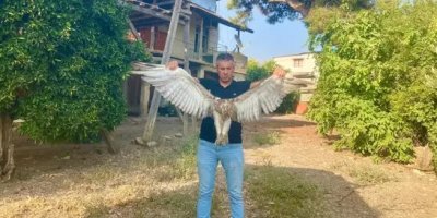 Yaralı kartal tedaviye alındı