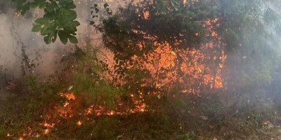 Adana'da yıldırım düşmesi sonucu 4 noktada orman yangını çıktı