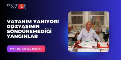 Vatanım Yanıyor! Gözyaşının Söndüremediği Yangınlar