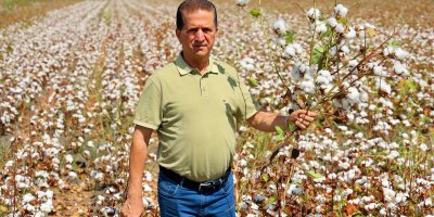 Pamuk ağalarıyla ünlü Adana’da ‘Beyaz altın’ hasadı başladı