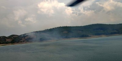 Adana'da çıkan orman yangını kontrol altına alındı