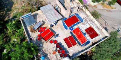 Adana'da salça sezonu başladı, damlar kızardı