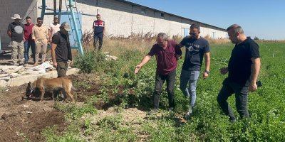 Dayısını öldürüp gömdü başında ağladı