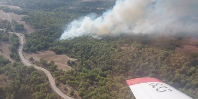Adana'da çıkan orman yangını kontrol altına alındı