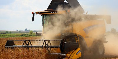 Adana'da soya hasadı başladı