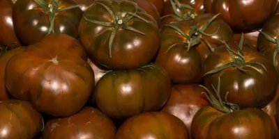 Pazarda kilosu 39 tl! Adana'da poşet poşet satılıyor: Sindirimi motor gibi çalıştırıp vücuda C vitamini yüklüyor, en doğal antioksidan