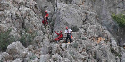 Keçilere kurtarma operasyonu düzenlendi, gerçek başka çıktı