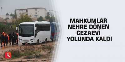 Mahkumlar nehre dönen cezaevi yolunda kaldı