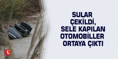 Sular çekildi, sele kapılan otomobiller ortaya çıktı