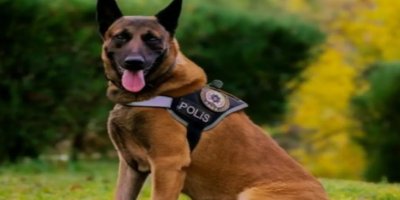 Narkotik Köpegi Ares Hakka Yürüdü!